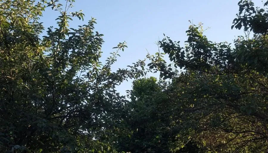 Kakhimeri — Photo 2
