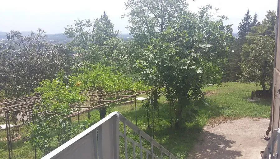 Nono — Photo 10