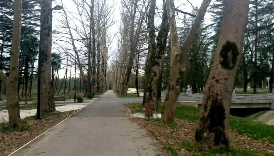 Lela — Photo 1