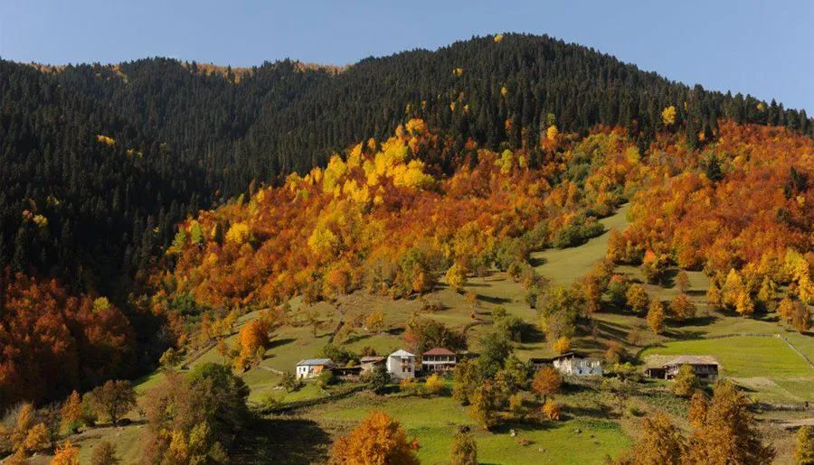 Guest House Murkvam — Photo 1