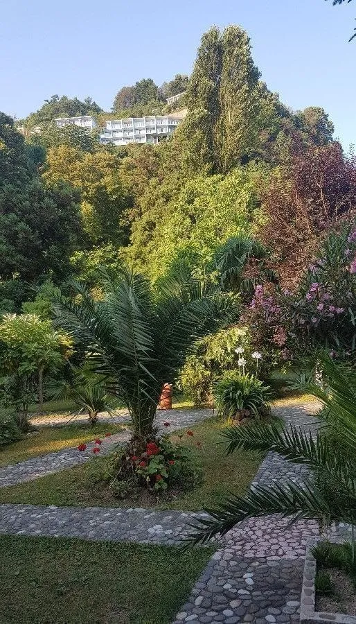 Calypso Kvariati Inn — Photo 8