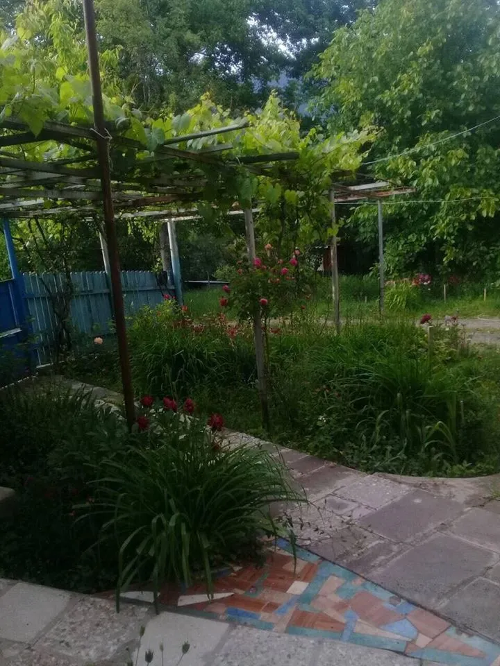 My House — Photo 1