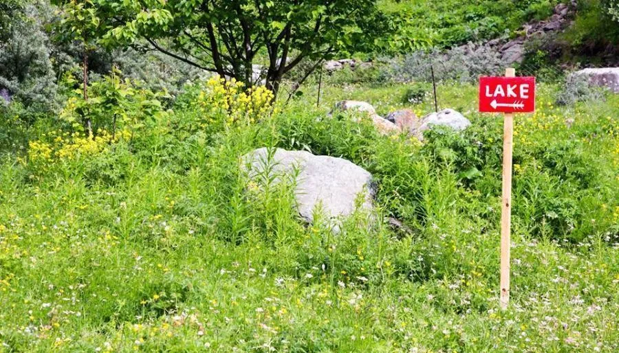 Green Cottages — Photo 9