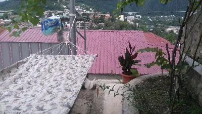 Old Green House — Photo 7