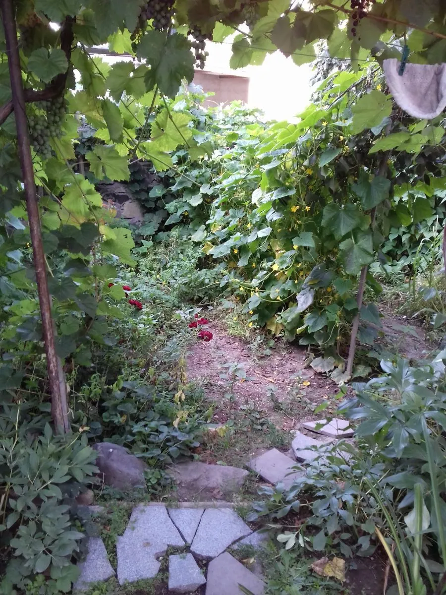 ALDA — Photo 5