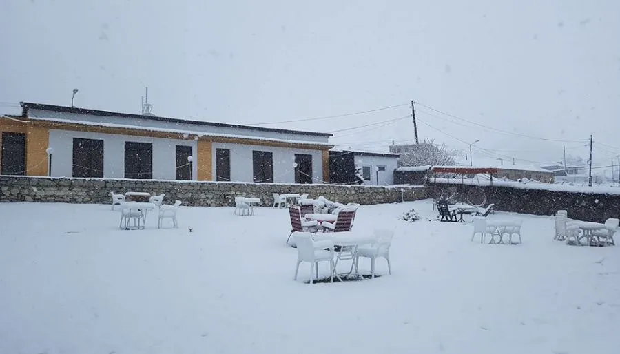 Hotel NOA Kazbegi — Photo 4