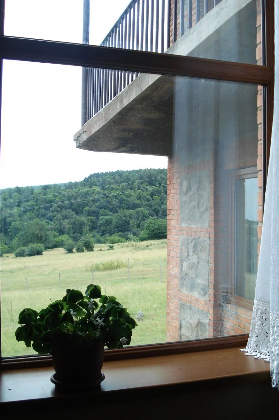 House in the forest — Photo 3