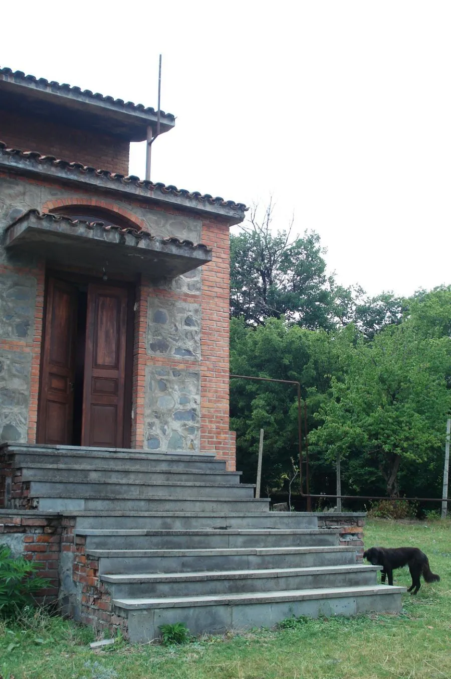 House in the forest — Photo 10