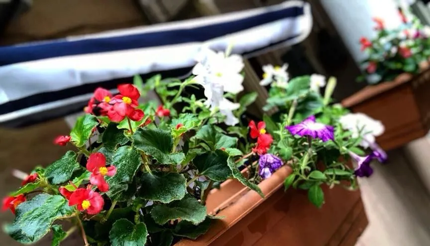 Guest House Ketrin — Photo 10