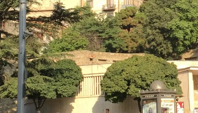 Emigrant — Photo 5