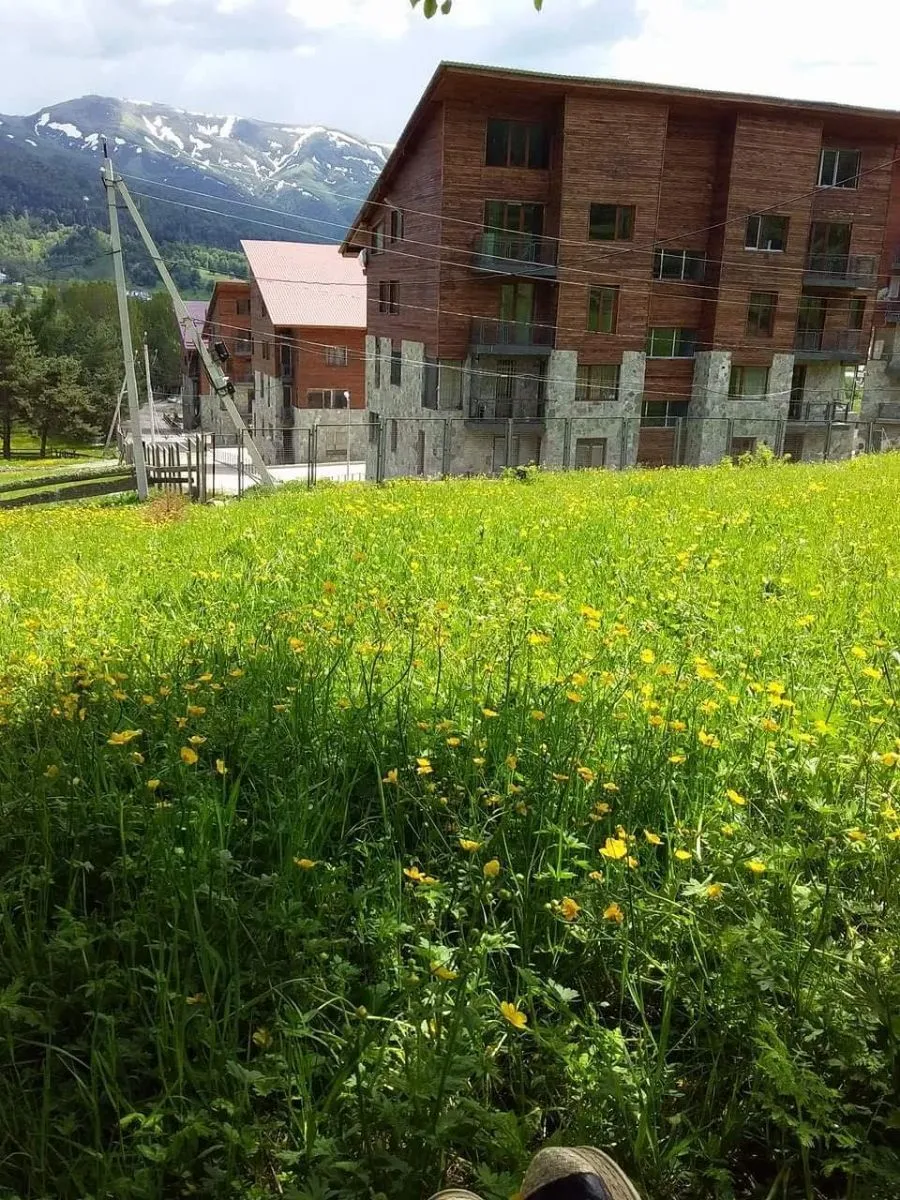 Villa Monte Bakuriani apt 10 — Photo 10