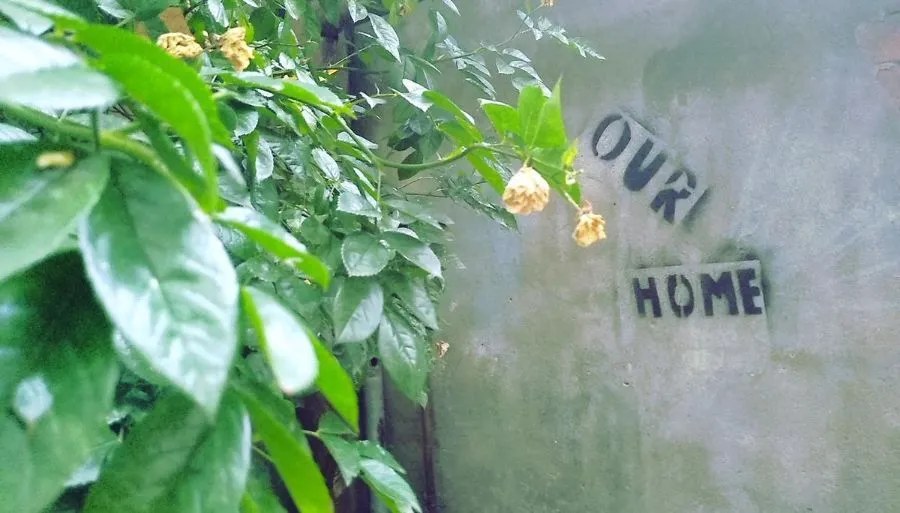 Our home — Photo 2