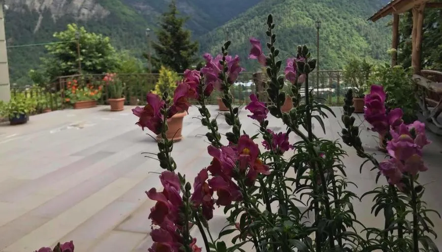 Anano's Guesthouse — Photo 2