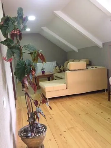 Anano's Guesthouse — Photo 9