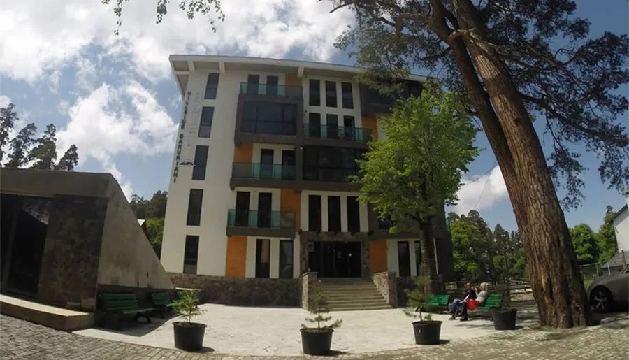 Hillside Bakuriani Apt 108 — Photo 1