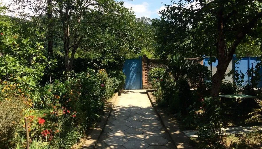 Green Yard — Photo 12