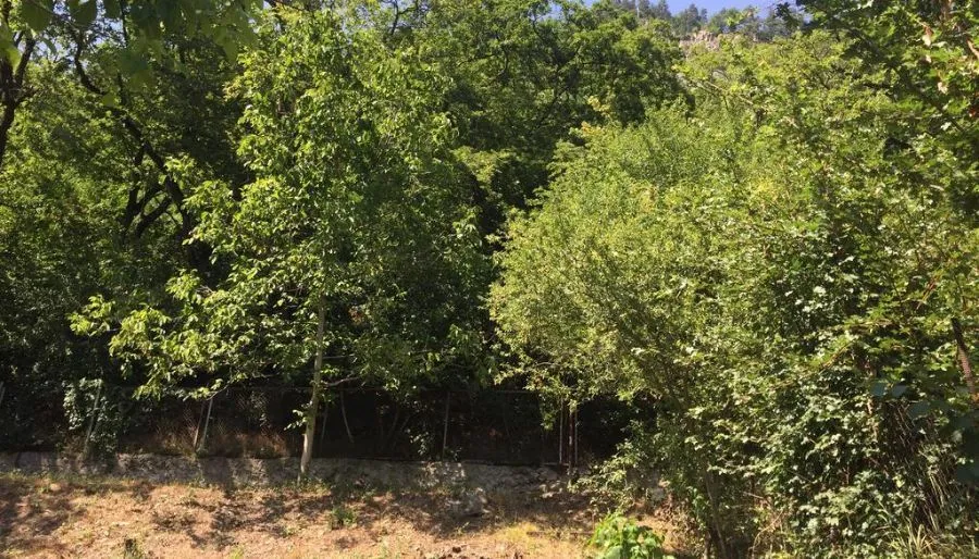 Panorama — Photo 12