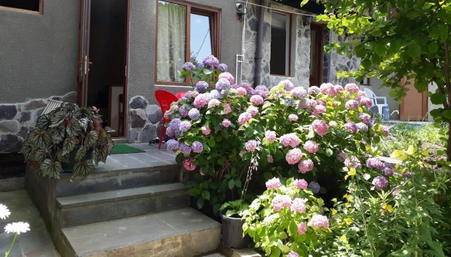 Ivan's House — Photo 2