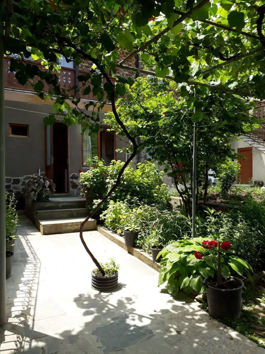Ivan's House — Photo 8