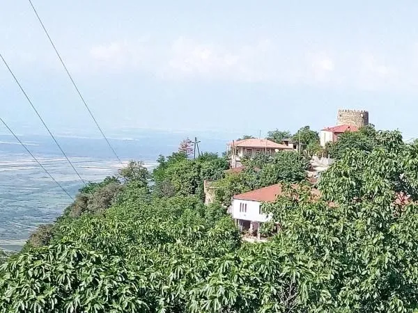 Inga's guest house — Photo 3