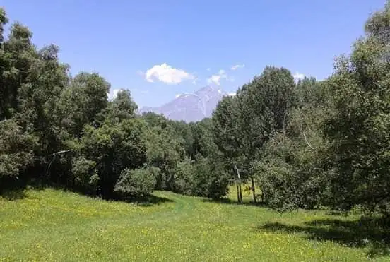 Sioni — Photo 5