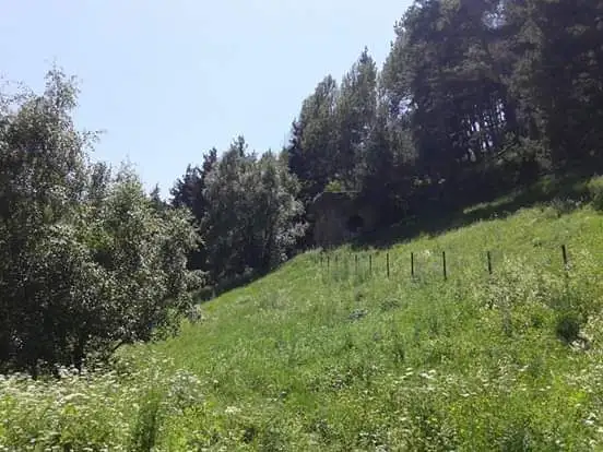 Sioni — Photo 9