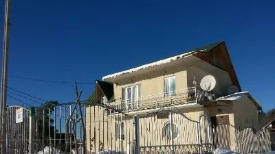 ANI — Photo 12