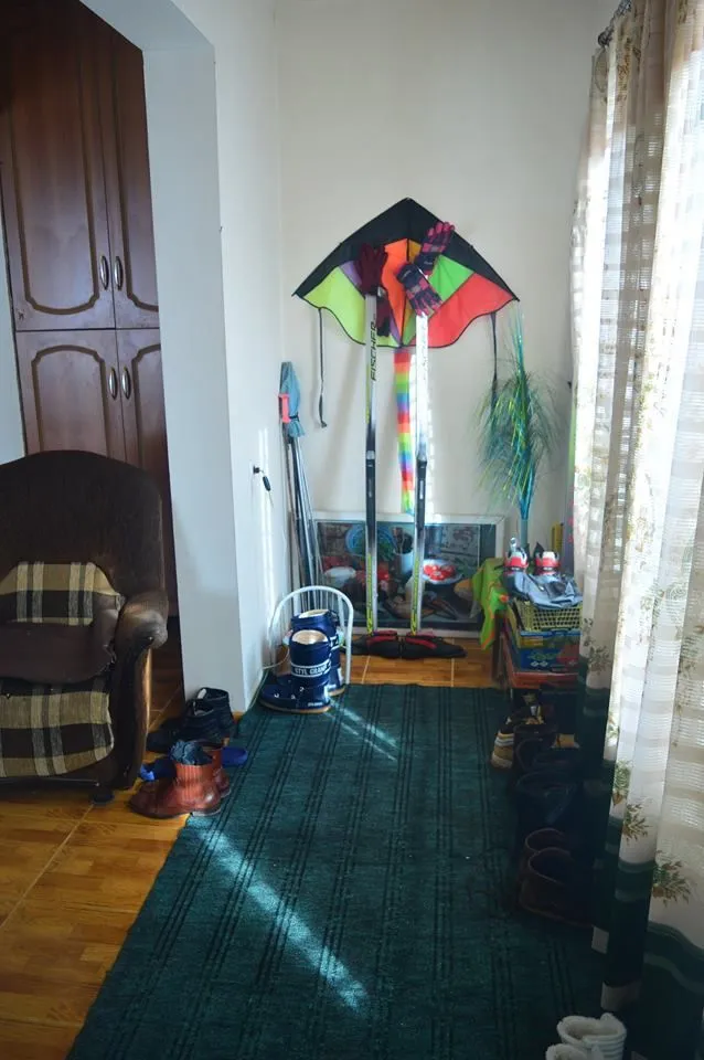 ANI — Photo 1