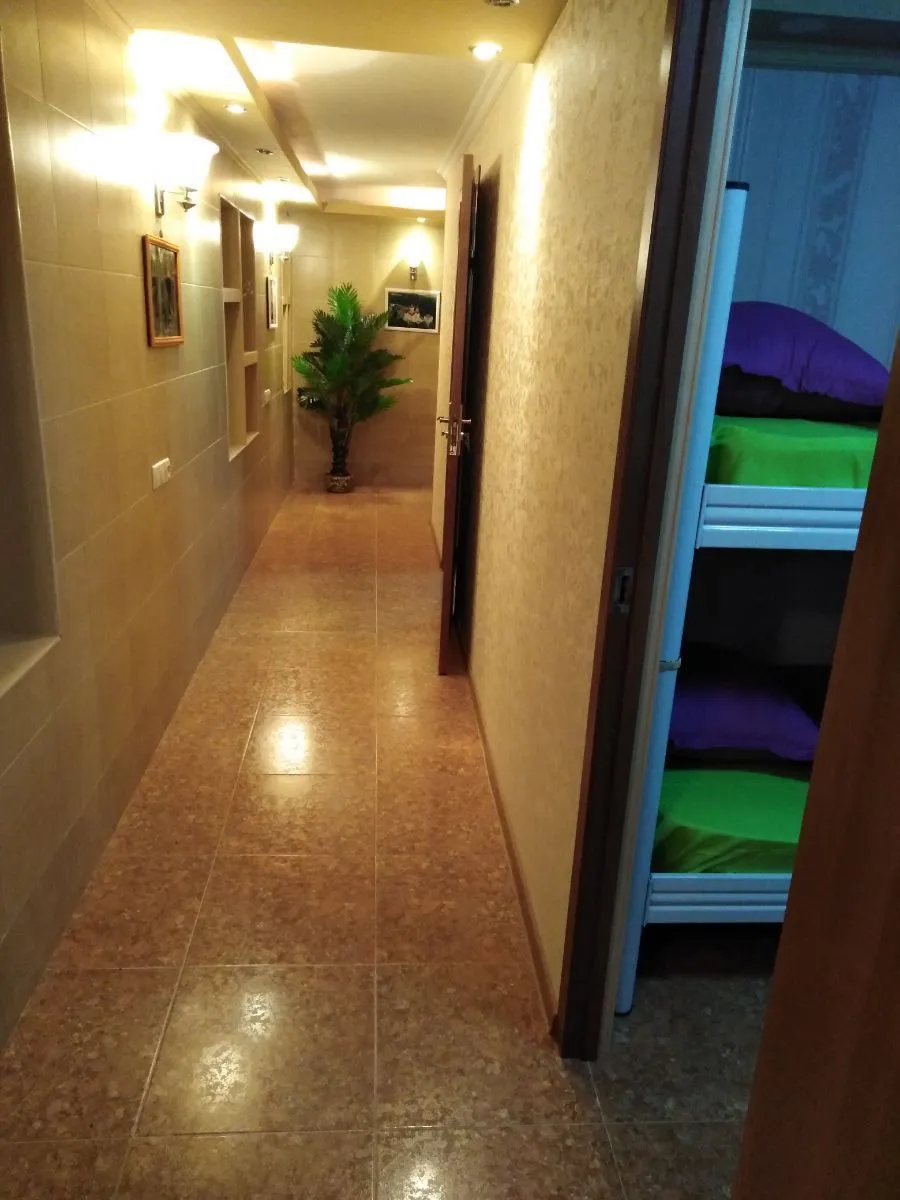 FEOLA — Photo 5