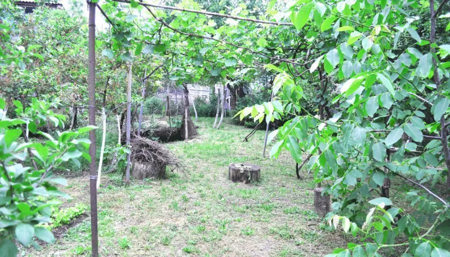 Asureti guest house — Photo 8