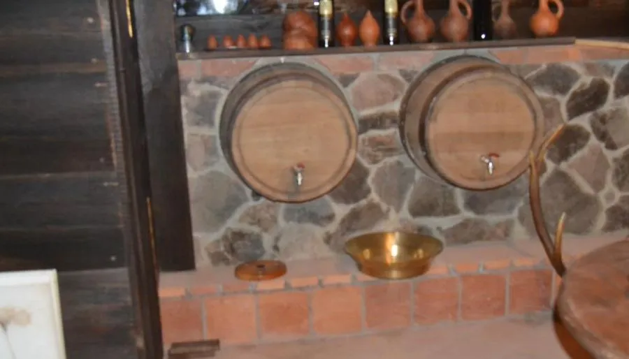 Borjomi Villa Roma — Photo 12