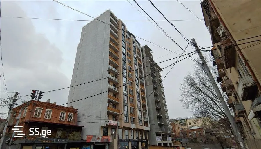 Pini — Photo 2