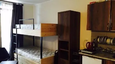 Mgzavrebi Bakuriani apt 219