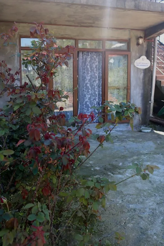 ELDARI — Photo 4