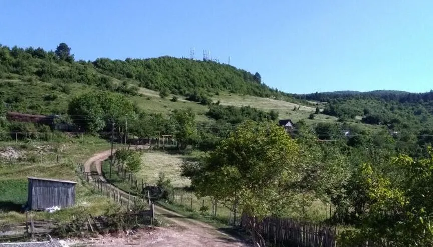 Wooden House — Photo 6