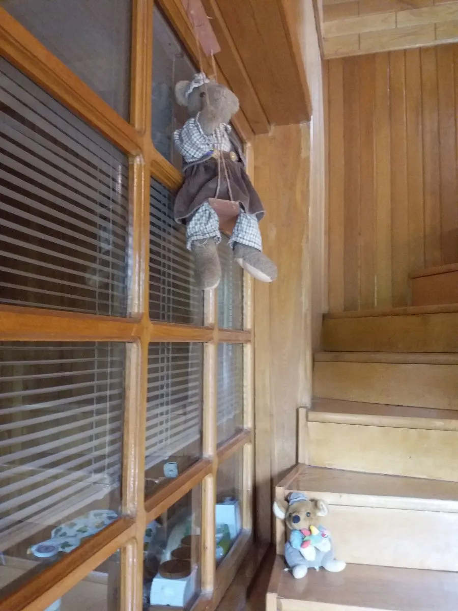 Maia guest house — Photo 3