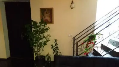 Velistsikhe