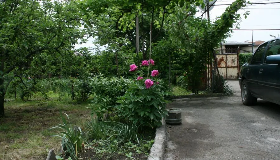 Velistsikhe — Photo 3