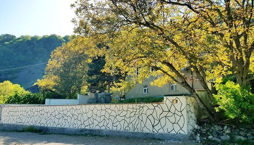 Boknet — Photo 12