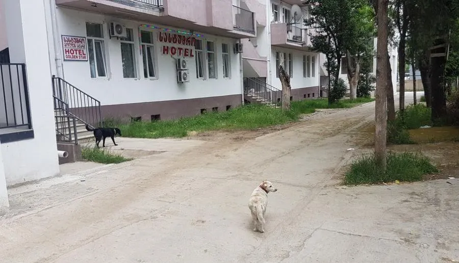 HOTEL GOLDEN STAR — Photo 2