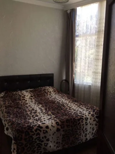 Shalva Inasaridze N23
