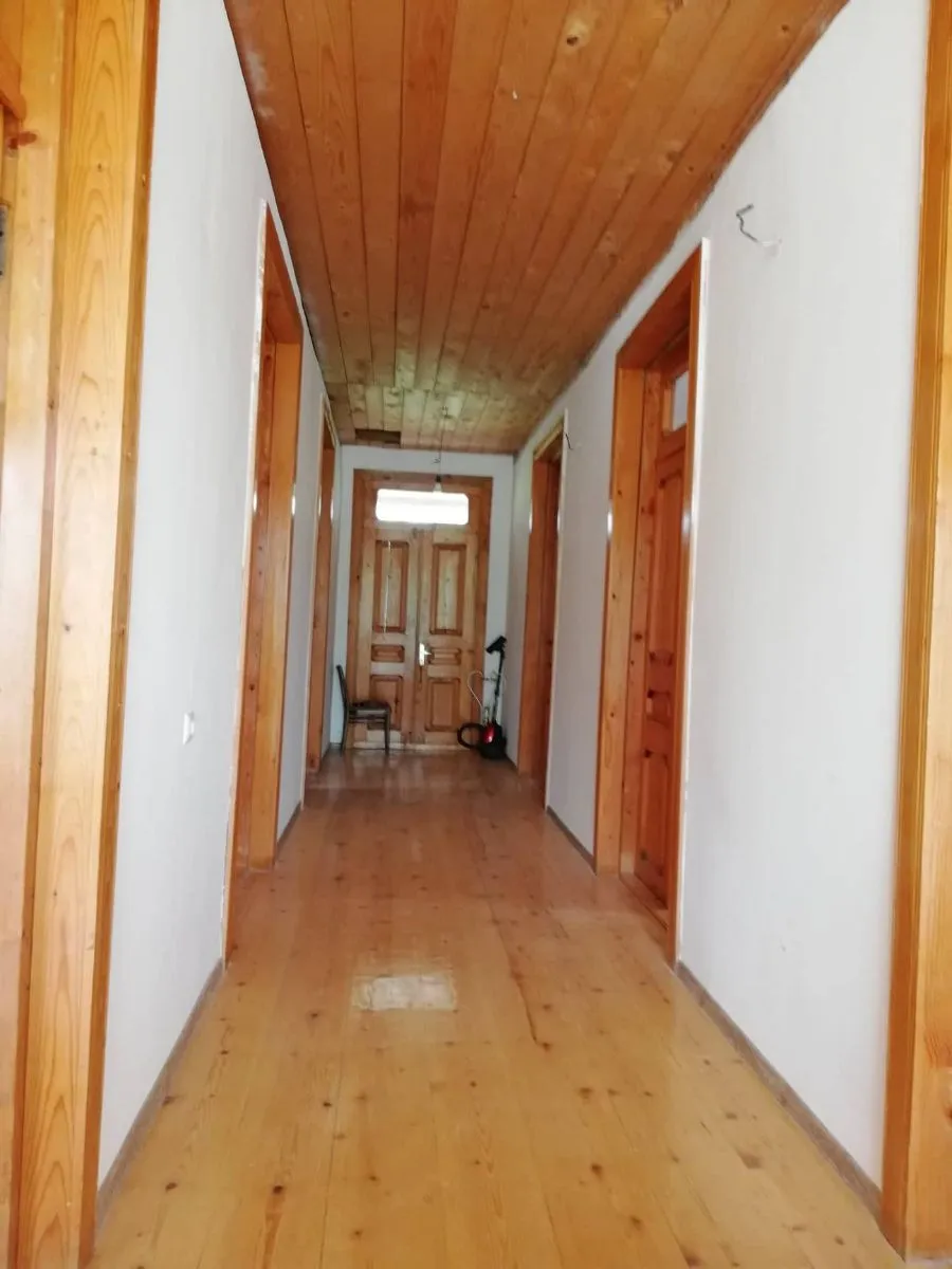 Kolkha Georgia — Photo 9
