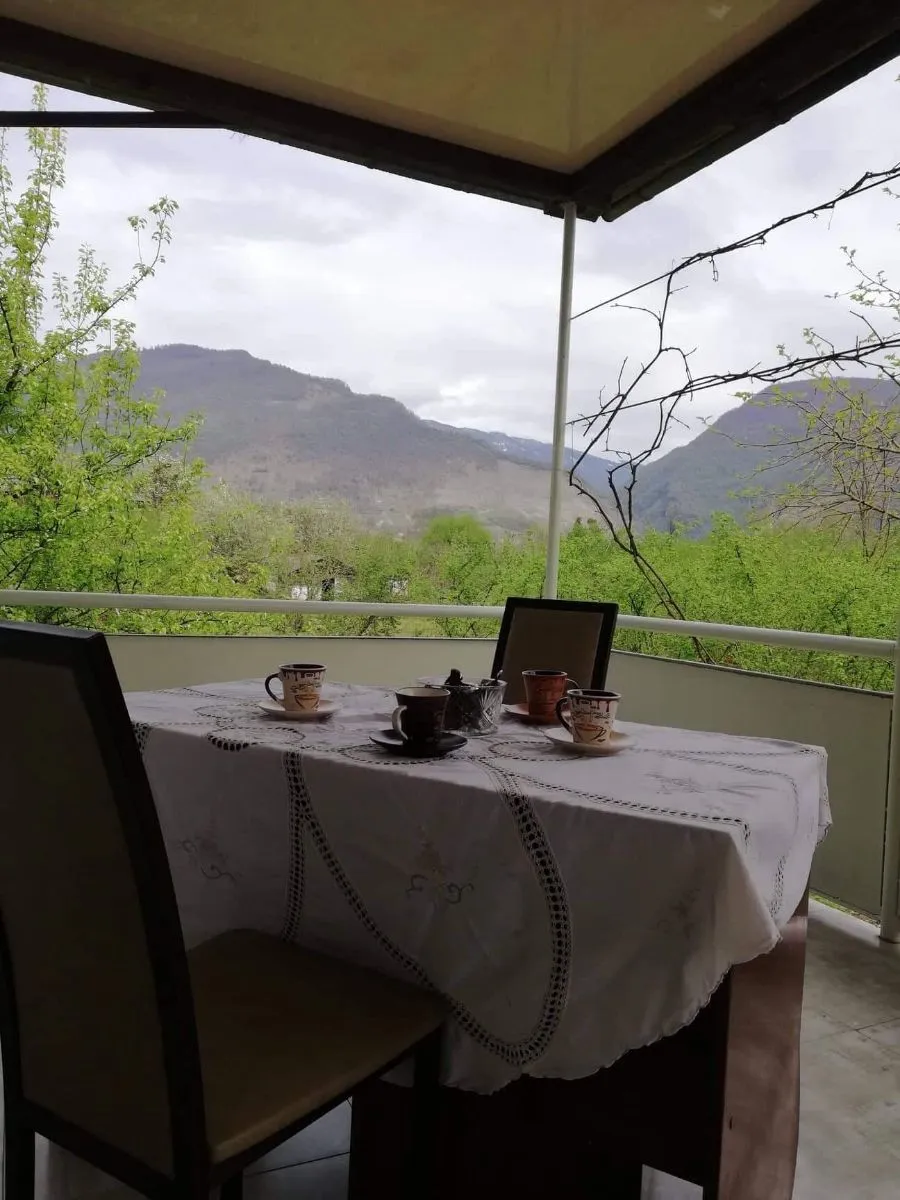 Kolkha Georgia — Photo 11