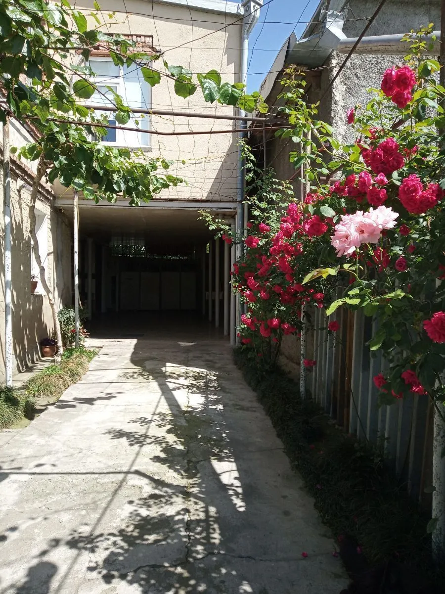 Kind House — Photo 3
