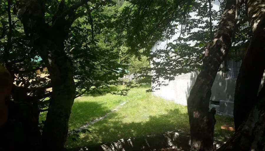 Nani — Photo 6