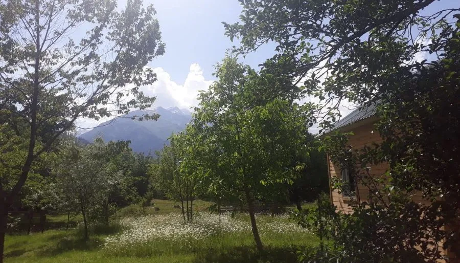 Nani — Photo 11