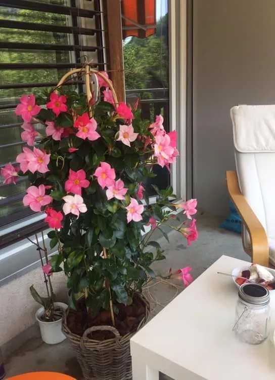 Friendly guest house — Photo 10