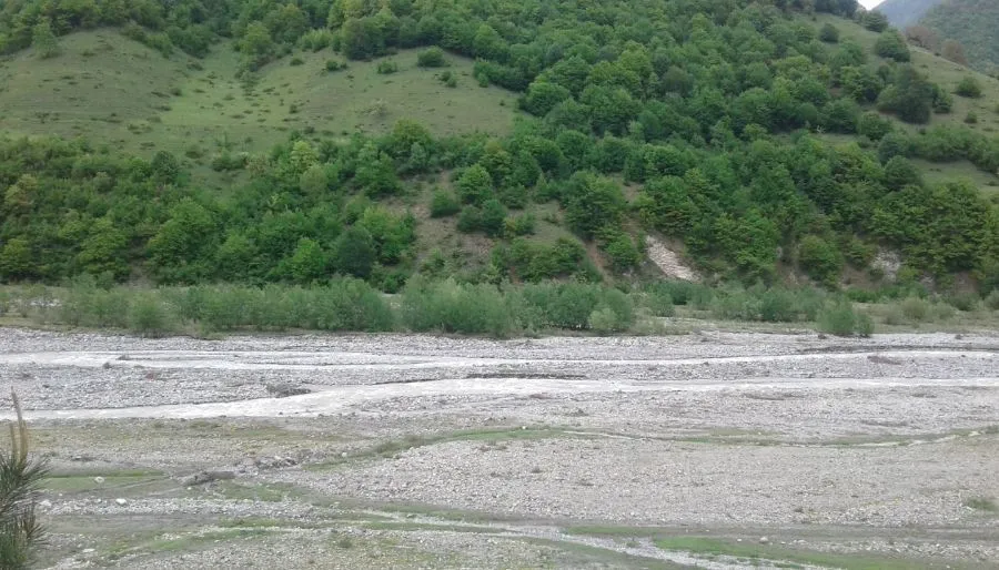 zviad1 — Photo 7
