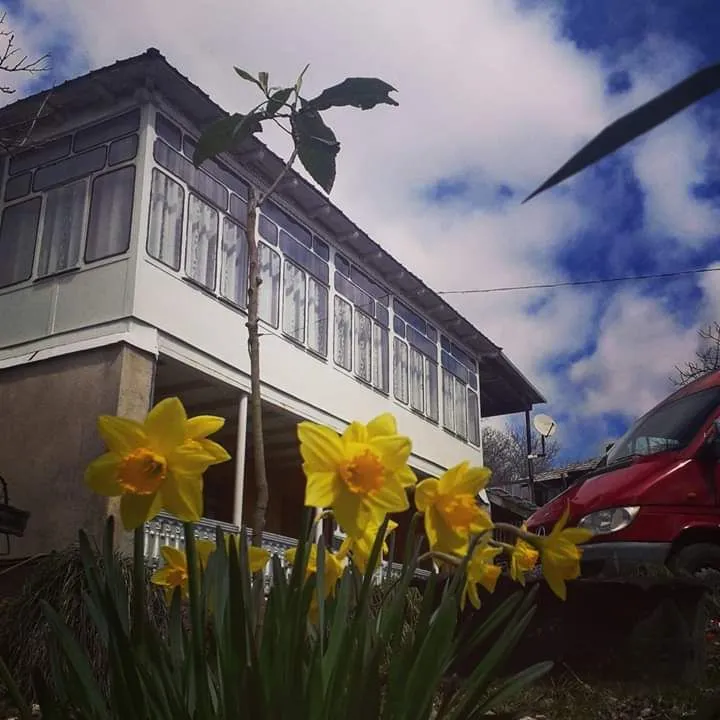 Guest house David — Photo 6