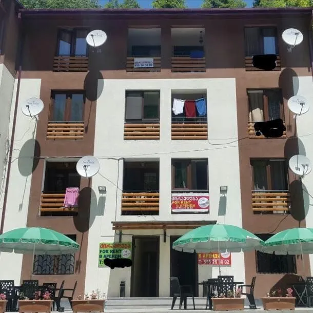 Guest house in Sairme — Photo 7